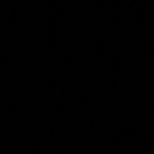 Meet your Posher, Ali